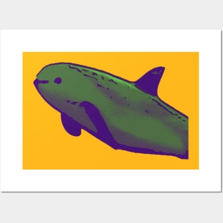 Weird Dolphin Posters and Art